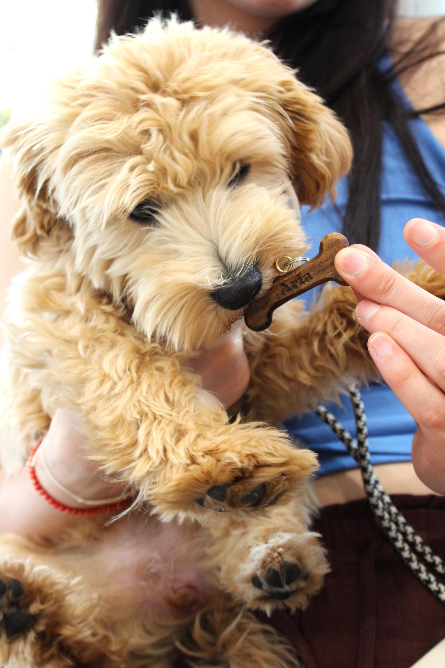 Personalized Wooden Dog Tag – Custom Walnut Bone with Pet Name